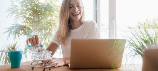 Eigen-webshop-beginnen-062023-edited