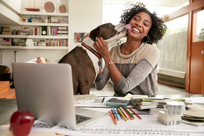 Freelancer wil productiever werken