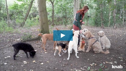 Mevrouw_De_Hond_still_playbutton 2