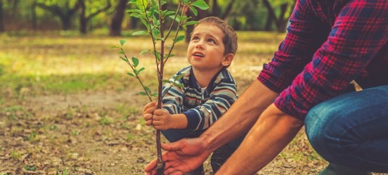 Kind plant samen met een ouder een jonge boom als symbool voor vermogensopbouw op de lange termijn